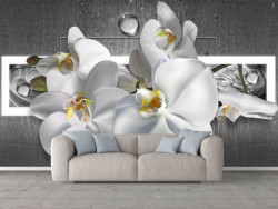 Fototapet, Orhidee albă pe un fundal gri