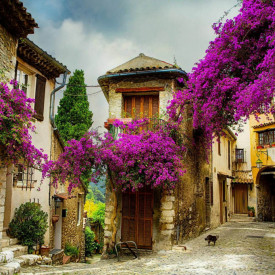 Fototapet, Un oraș cu flori violet