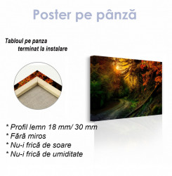 Poster, Apus luminos de toamnă în pădure