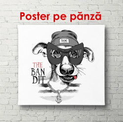 Poster, Câine alb-negru pe un fundal alb