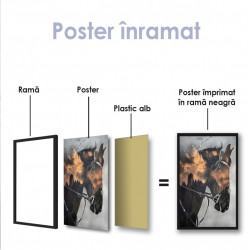 Poster, Cal abstract