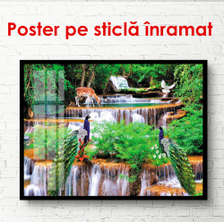 Poster, Cascada și animale de pădure