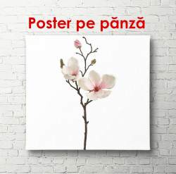 Poster, Crenguța cu flori roz