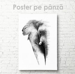 Poster, Elefantul