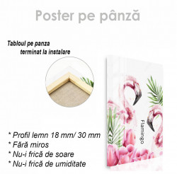 Poster, Flamingo