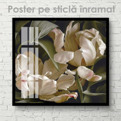 Poster, Flori delicate