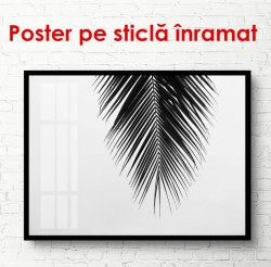 Poster, Frunze de palmier pe un fond gri