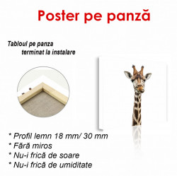 Poster, Girafă pe un fundal alb