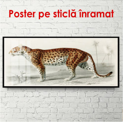 Poster, Leopard frumos