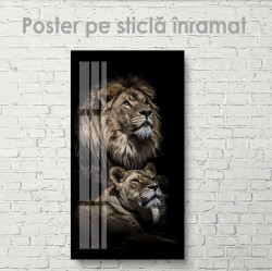 Poster, Leu