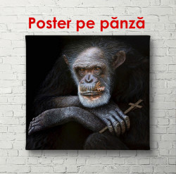 Poster, Maimuță pe un fundal negru