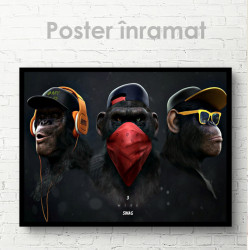 Poster, Maimuțe glam