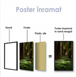 Poster, Pădure verde și copaci înalți