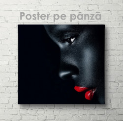 Poster, Profilul unei domnișoare negre 1