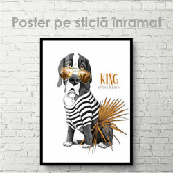 Poster, Regele plajei