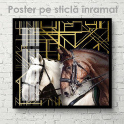 Poster, RinocerPoster, Doi cai