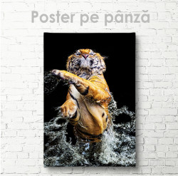 Poster, Tigrul grațios