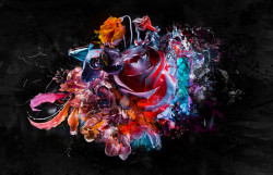 Poster, Trandafir abstract pe fundal negru