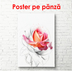 Poster, Trandafir roz pe un fundal deschis