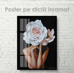 Poster, Trandafir