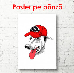 Poster, Un câine alb cu o șapcă roșie