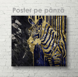 Poster, Zebra de aur