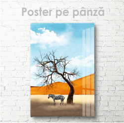 Poster, Zebra în safari