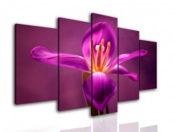 Tablou modular, Irisul de culoare bordo