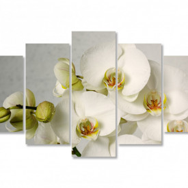 Tablou modular, Orhidee albă pe fundal gri.