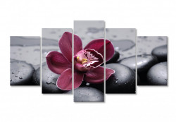 Tablou modular, Orhidee bordo pe o piatră neagră
