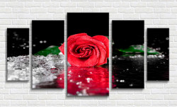 Tablou modular, Trandafir roșu cu stropi de rouă