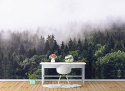 Fototapet, Ceața din pădure