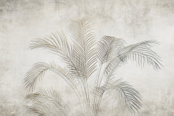 Fototapet, Frunze delicate de palmier pe un fundal gri