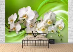 Fototapet, Orhidee albe pe un fundal verde