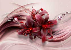 Fototapet, Orhidee roșie pe un fundal alb