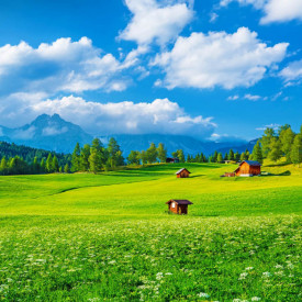 Fototapet, Peisajul cu iarbă verde și cer albastru