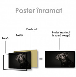 Poster, Câinele prieten