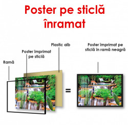 Poster, Cascada și animale de pădure