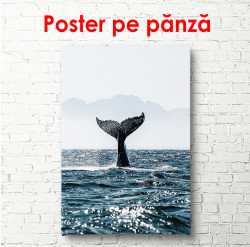 Poster, Coadă de balenă