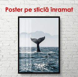 Poster, Coadă de balenă