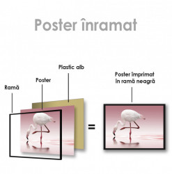Poster, Flamingo alb