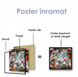 Poster, Flori