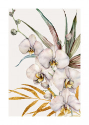 Poster, Frunze și orhidee albe