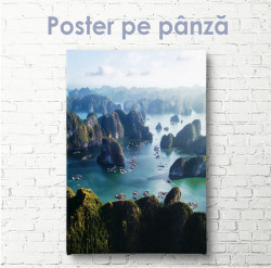 Poster, Marea și stâncile