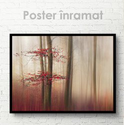 Poster, Pădurea roșie