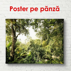 Poster, Parcul verde