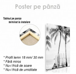 Poster, Placi de surf