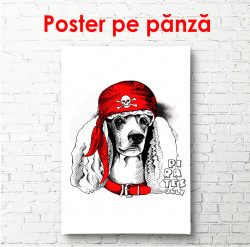 Poster, Poodle într-un capac roșu pe un fundal alb