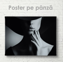 Poster, Sensibilitate