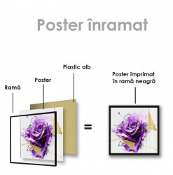 Poster, Trandafir purpuriu